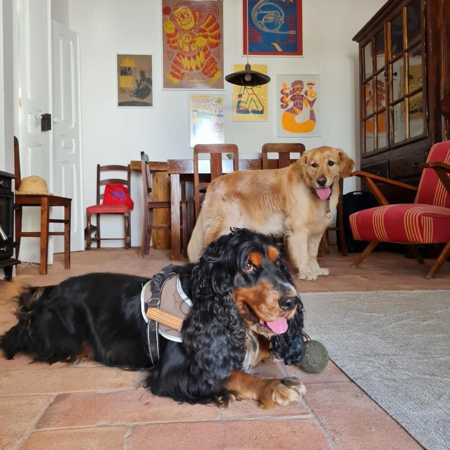 Casa Magana Em Grandola Villa Luaran gambar